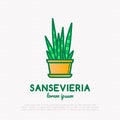 Succulent Sansevieria in pot thin line icon. Modern vector illustration of home plant