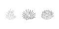 Succulent set aloe vera in doodle style. Vector illustration plant hand drawn. Black outline isolated element on white Royalty Free Stock Photo