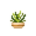 succulent tree stitch pattern. Pixel mini cactus image.