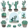 Succulente plants Royalty Free Stock Photo