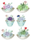 Succulents and air-plants in pots illustration, watercolor painting.