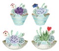 Succulents and air-plants in pots illustration, watercolor painting.