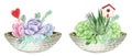 Succulents and air-plants in pots illustration, watercolor painting.