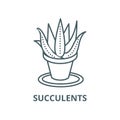 Succulents, aloe pot vector line icon, linear concept, outline sign, symbol