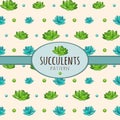 Succulents, background with oval frame for text