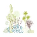 Succulents and cacti. Desert plants. Royalty Free Stock Photo