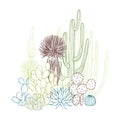 Succulents and cacti. Desert plants. Royalty Free Stock Photo