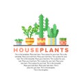 Succulents and cacti flat circle vector illustration. Part one.