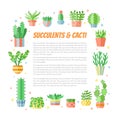 Succulents and cacti flat style multicolored square frame vector background with place for your text. Minimalistic design.