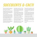 Succulents and cacti flat style multicolored vector backgrounds with place for your text. Minimalistic design. Part one.