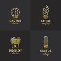 Succulents and cacti gold vector set. Part four.