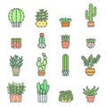 Succulents and cacti outline multicolored vector icons set. Minimalistic design.