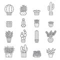 Succulents and cacti outline vector icons set. Modern minimalistic design.