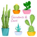 Succulents and cacti set