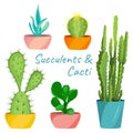 Succulents and cacti set