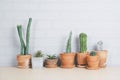 Succulents or cactus in clay pots on wooden table and gray brick wall. Royalty Free Stock Photo