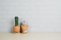 Succulents or cactus in clay pots on wooden table and gray brick wall. Royalty Free Stock Photo