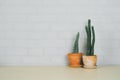 Succulents or cactus in clay pots on wooden table and gray brick wall. Royalty Free Stock Photo