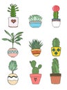 Succulents and cactus hand drawn illustration