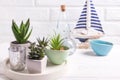 Succulents and cactus plants in pots on tray, bottles and decorative boat