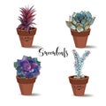 Succulents in clay pots. Set. Graphics with watercolor. Vector.