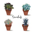 Succulents in clay pots. Set. Graphics with watercolor. Vector.