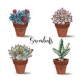 Succulents in clay pots. Set. Graphics with watercolor. Vector.