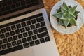 Succulents in concrete pot near keyboard of a laptop