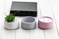 Succulents in concrete pots. Indoor cacti, indoor plants. Fashion trends in design