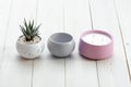 Succulents in concrete pots. Indoor cacti, indoor plants. Fashion trends in design