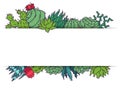 Succulents decorative cacti green plants vector illustration. Nature botanical houseplant floral banner. Cactus design Royalty Free Stock Photo