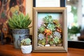 succulents displayed in picture frame planter Royalty Free Stock Photo