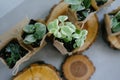 Succulents in an eco paper bag on gray background. Indoor plant store. Wooden sawn