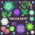 Succulents Floral Icon Set