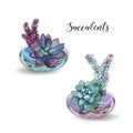 Succulents in glass aquariums. Colored sand. Flower decorative compositions. Graphics. Watercolor. Vector.