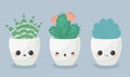 Succulents in kawaii faces flower pots