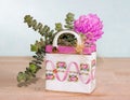 Succulents planted in a colorful ceramic bag
