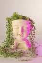 Succulents a pot in the girls head.sustainable design aesthetics.Potted succulent garden.Pot in the form of a laughing Royalty Free Stock Photo