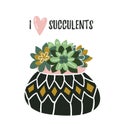 Succulents in the pot in scandinavian style with text `I love succulents`. Home decoration. Vector illustration.