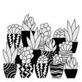 Succulents in pots. Hand drawn indoor plants on a white background. Space for text. Vector illustration