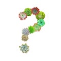 Succulents Question Mark Royalty Free Stock Photo