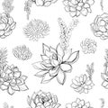 Succulents. Seamless pattern. Graphics. Coloring. Vector illustration