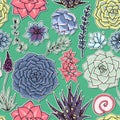 Succulents seamless pattern. Succulent ornament.