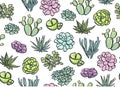 Succulents seamless pattern.