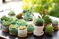 succulents set as decorative pieces on an outdoor table