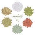Succulents set. Collection decorative floral design elements for wedding invitations and birthday cards.