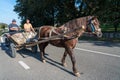 SUCEVITA, MOLDOVIA/ROMANIA - SEPTEMBER 18 : Two men with a horse