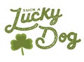 Such a Lucky Dog St. Patrick`s Day Poster Royalty Free Stock Photo