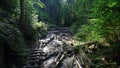 Sucha Bela gorge in Slovensky raj National park , Slovakia Royalty Free Stock Photo