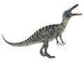 Suchomimus